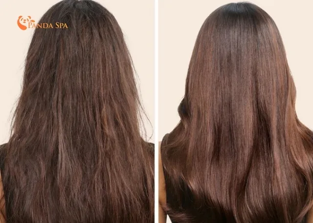 Gleditsia shampoo