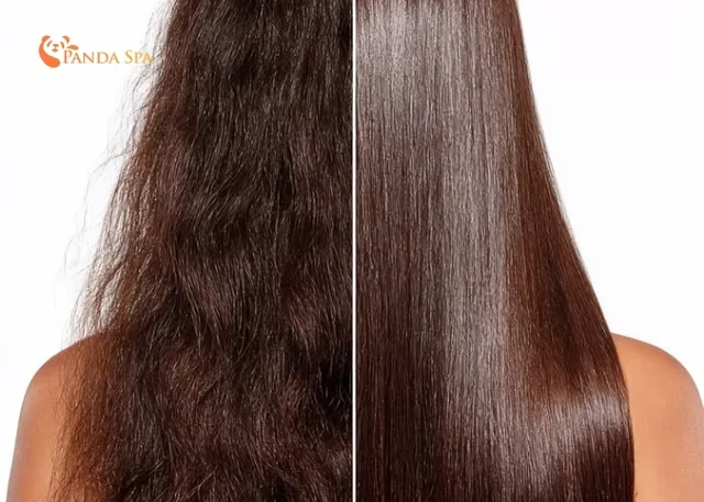 Gleditsia shampoo