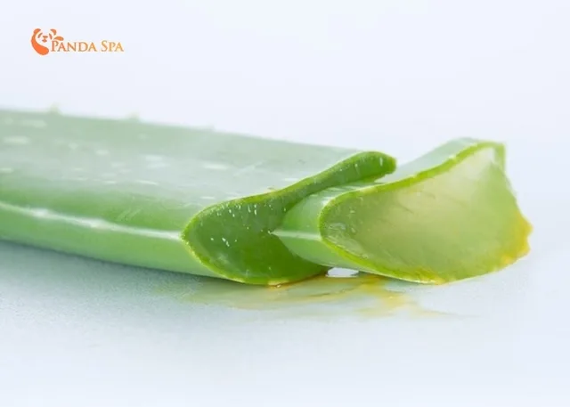 aloe vera shampoo