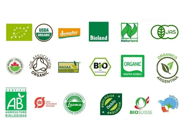 organic shampoo