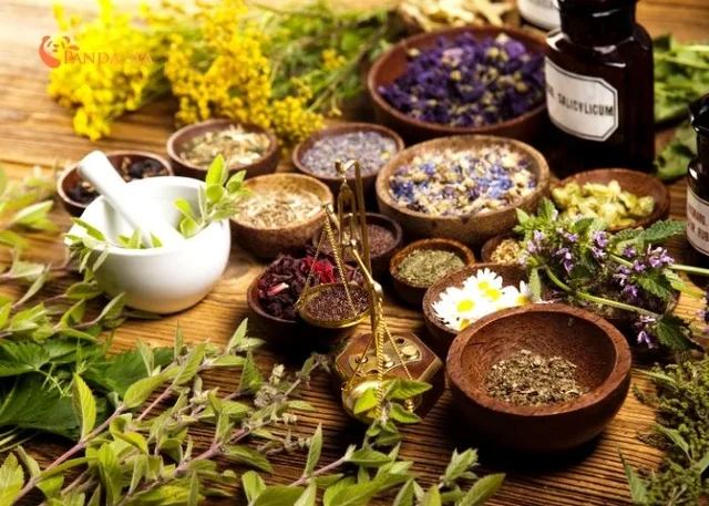 Herbal Hair Spa: Benefits from A to Z