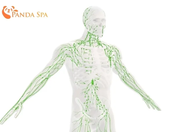 what are the benefits of neck and shoulder massage