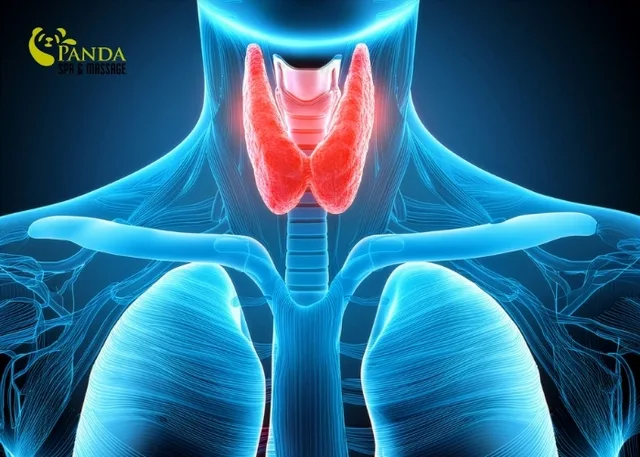 massage lòng bàn chân